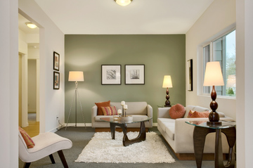 modern small living room ideas with sage green and white painting